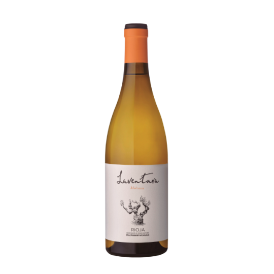 Laventura Malvasia 2024