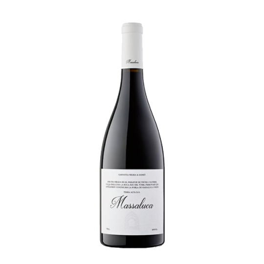 Massaluca Negre 2024