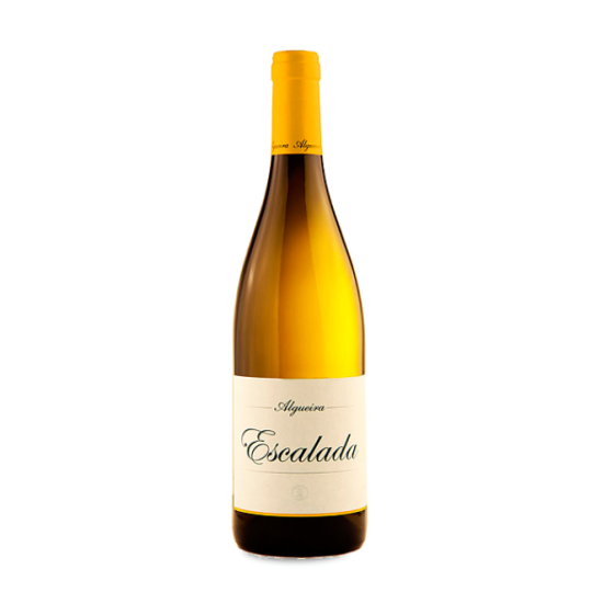 Algueira Escalada 2024