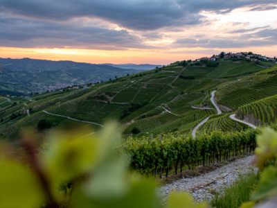 Der Einfluss der Höhenlage auf den Wein