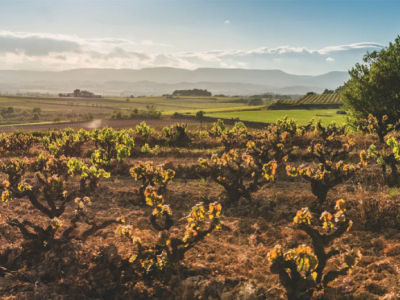 Corpinnat: the bubbles born from the heart of Penedès
